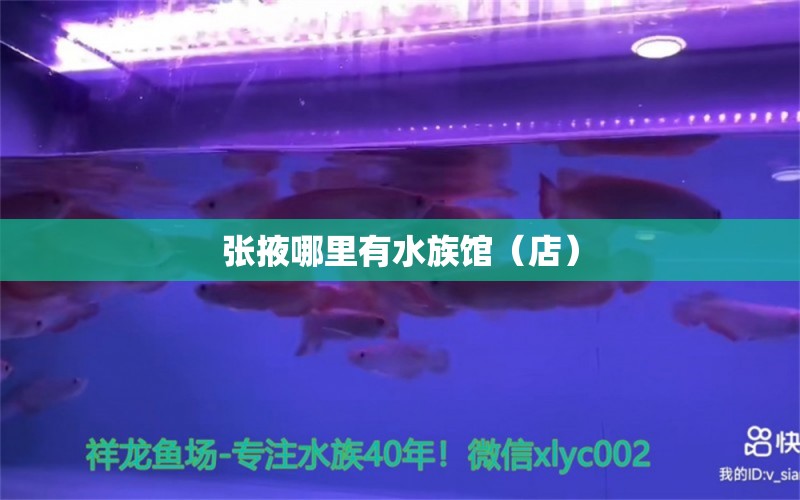 张掖哪里有水族馆（店） 观赏鱼水族批发市场