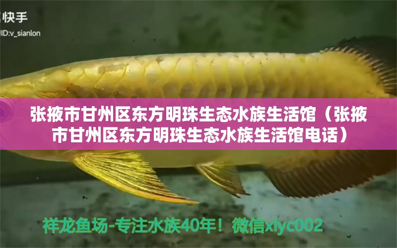 张掖市甘州区东方明珠生态水族生活馆（张掖市甘州区东方明珠生态水族生活馆电话）