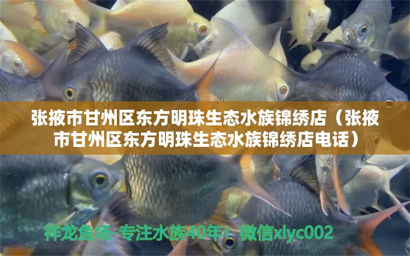 张掖市甘州区东方明珠生态水族锦绣店（张掖市甘州区东方明珠生态水族锦绣店电话）