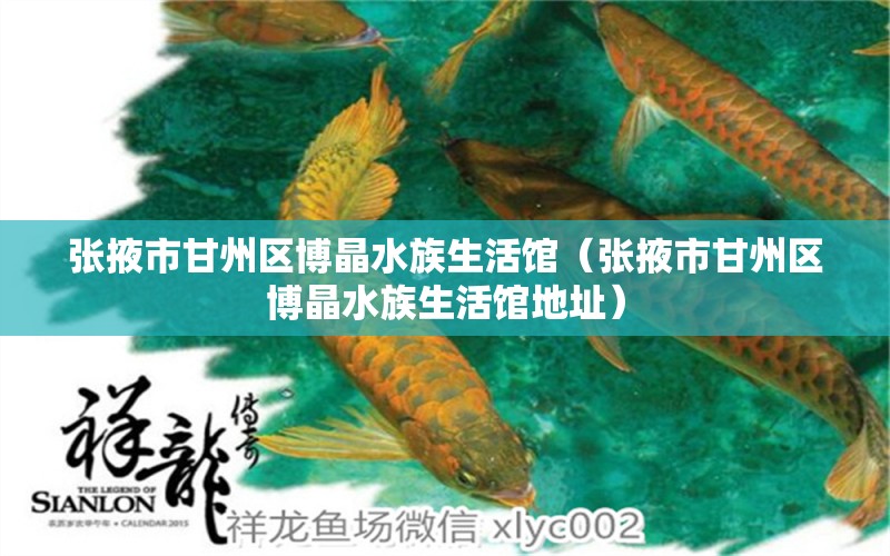 张掖市甘州区博晶水族生活馆（张掖市甘州区博晶水族生活馆地址）