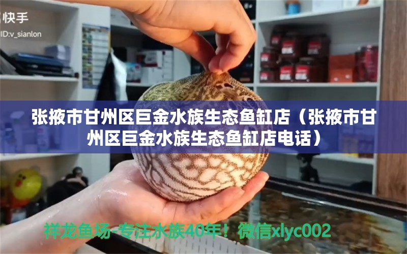 张掖市甘州区巨金水族生态鱼缸店（张掖市甘州区巨金水族生态鱼缸店电话）