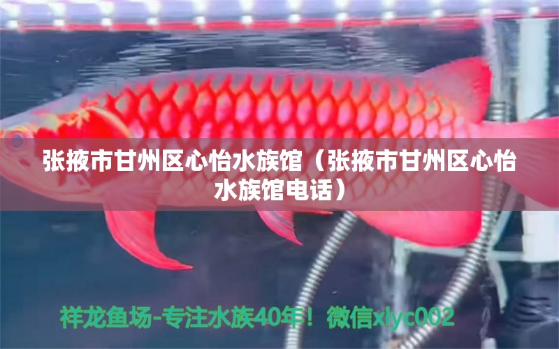 张掖市甘州区心怡水族馆（张掖市甘州区心怡水族馆电话） 全国水族馆企业名录