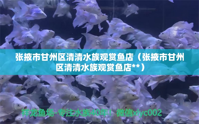 张掖市甘州区清清水族观赏鱼店（张掖市甘州区清清水族观赏鱼店**） 全国水族馆企业名录