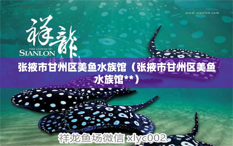 张掖市甘州区美鱼水族馆（张掖市甘州区美鱼水族馆**）