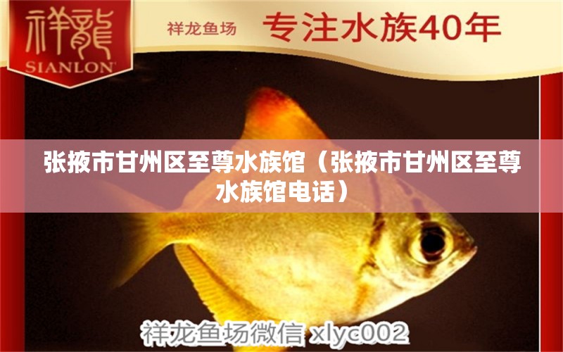 张掖市甘州区至尊水族馆（张掖市甘州区至尊水族馆电话）