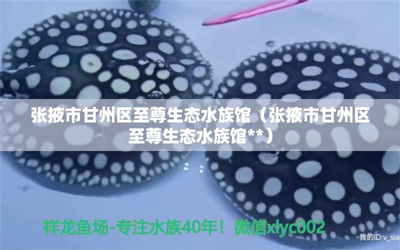 张掖市甘州区至尊生态水族馆（张掖市甘州区至尊生态水族馆**） 全国水族馆企业名录