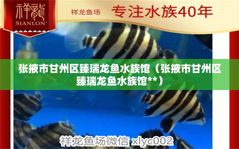 张掖市甘州区臻瑞龙鱼水族馆（张掖市甘州区臻瑞龙鱼水族馆**）