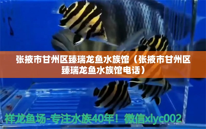 张掖市甘州区臻瑞龙鱼水族馆（张掖市甘州区臻瑞龙鱼水族馆电话） 全国水族馆企业名录