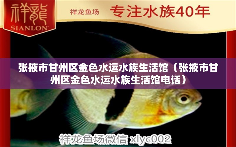 张掖市甘州区金色水运水族生活馆（张掖市甘州区金色水运水族生活馆电话）