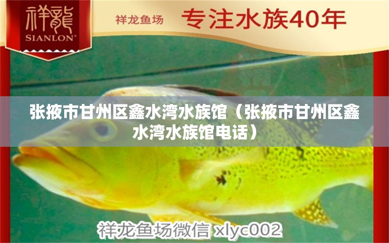 张掖市甘州区鑫水湾水族馆（张掖市甘州区鑫水湾水族馆电话） 全国水族馆企业名录