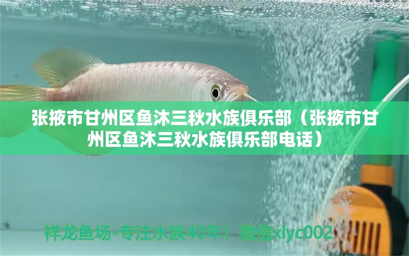 张掖市甘州区鱼沐三秋水族俱乐部（张掖市甘州区鱼沐三秋水族俱乐部电话） 全国水族馆企业名录