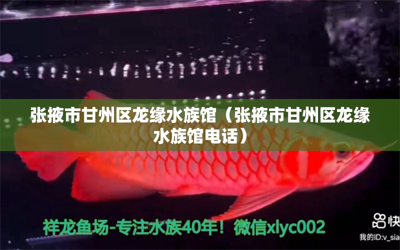 张掖市甘州区龙缘水族馆（张掖市甘州区龙缘水族馆电话）