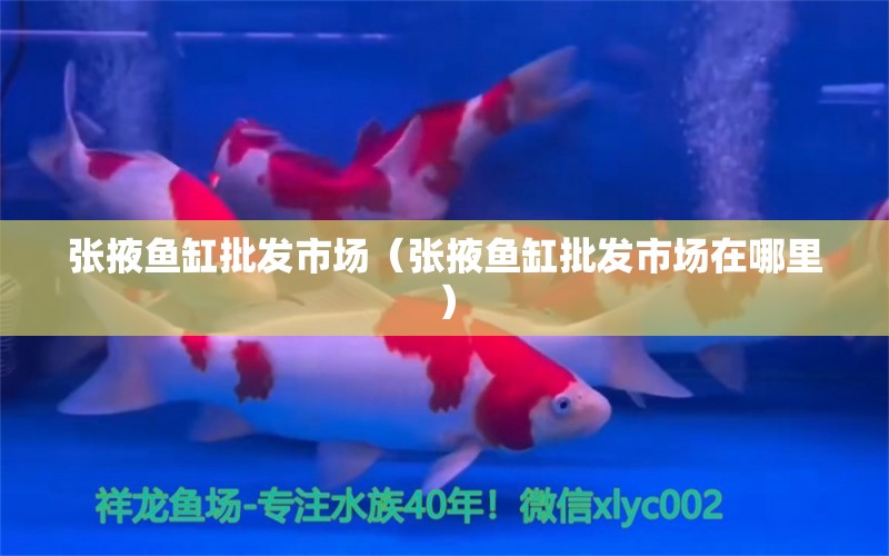 张掖鱼缸批发市场（张掖鱼缸批发市场在哪里） 观赏鱼水族批发市场