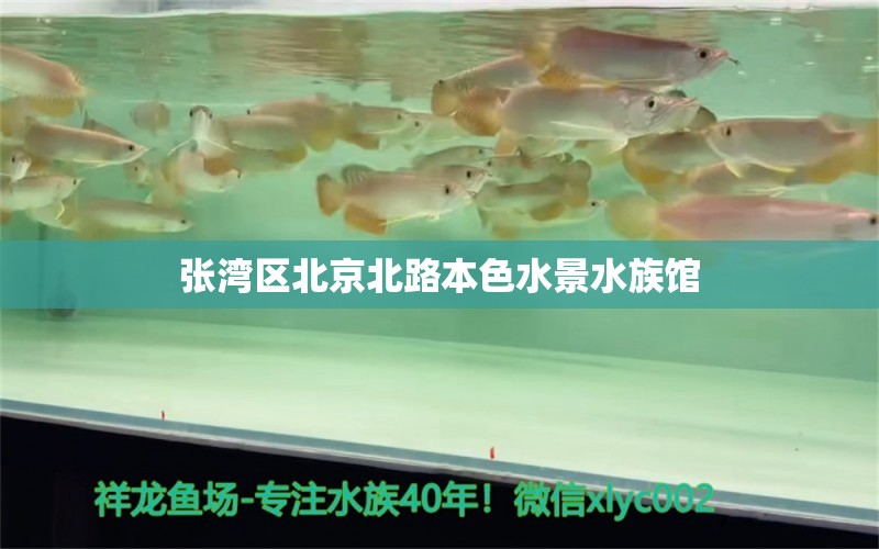 张湾区北京北路本色水景水族馆