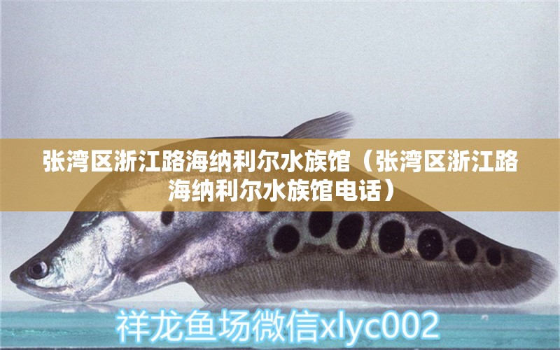 张湾区浙江路海纳利尔水族馆（张湾区浙江路海纳利尔水族馆电话） 全国水族馆企业名录