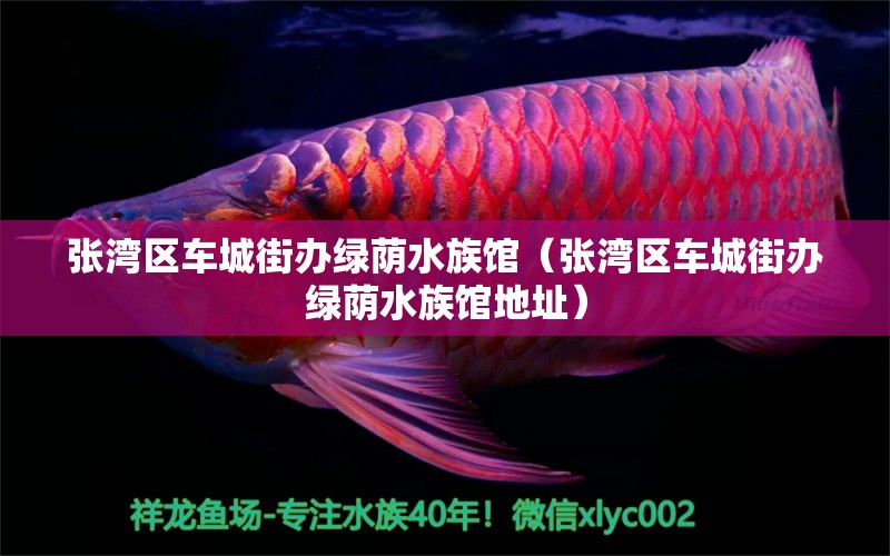 张湾区车城街办绿荫水族馆（张湾区车城街办绿荫水族馆地址）