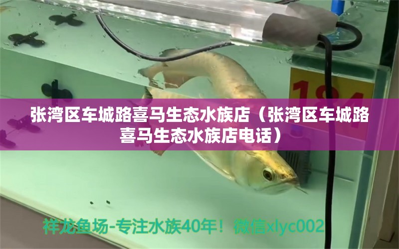 张湾区车城路喜马生态水族店（张湾区车城路喜马生态水族店电话） 全国水族馆企业名录