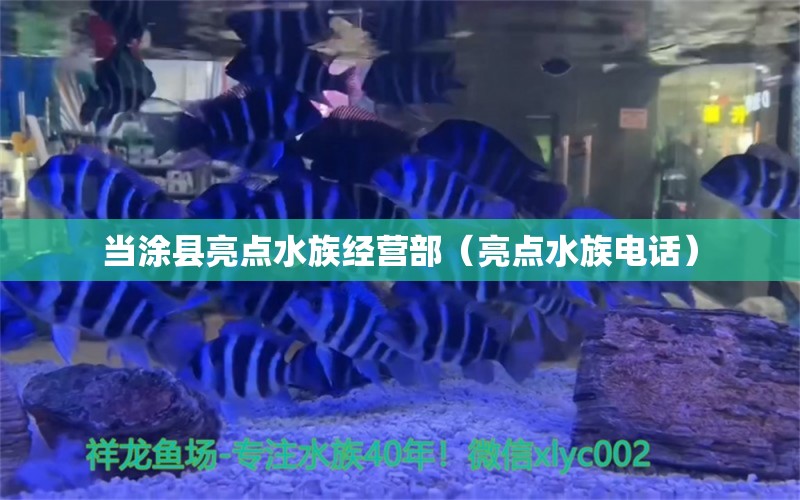 当涂县亮点水族经营部（亮点水族电话） 全国水族馆企业名录