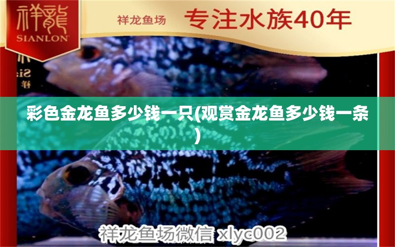 彩色金龙鱼多少钱一只(观赏金龙鱼多少钱一条) 2024第28届中国国际宠物水族展览会CIPS（长城宠物展2024 CIPS）