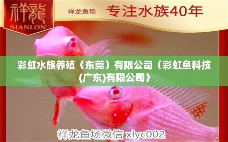 彩虹水族养殖（东莞）有限公司（彩虹鱼科技(广东)有限公司）