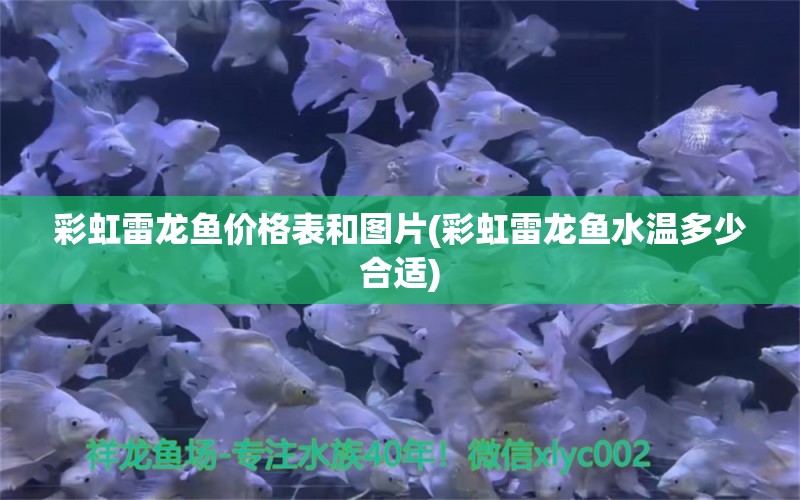 彩虹雷龙鱼价格表和图片(彩虹雷龙鱼水温多少合适) 鱼缸风水