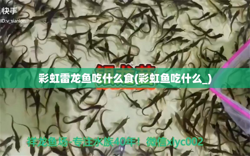 彩虹雷龙鱼吃什么食(彩虹鱼吃什么_) 银龙鱼苗