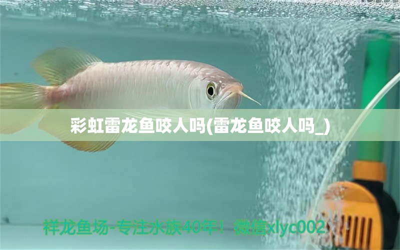 彩虹雷龙鱼咬人吗(雷龙鱼咬人吗_) 水族世界