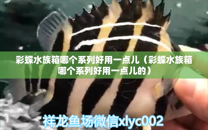 彩蝶水族箱哪个系列好用一点儿（彩蝶水族箱哪个系列好用一点儿的）