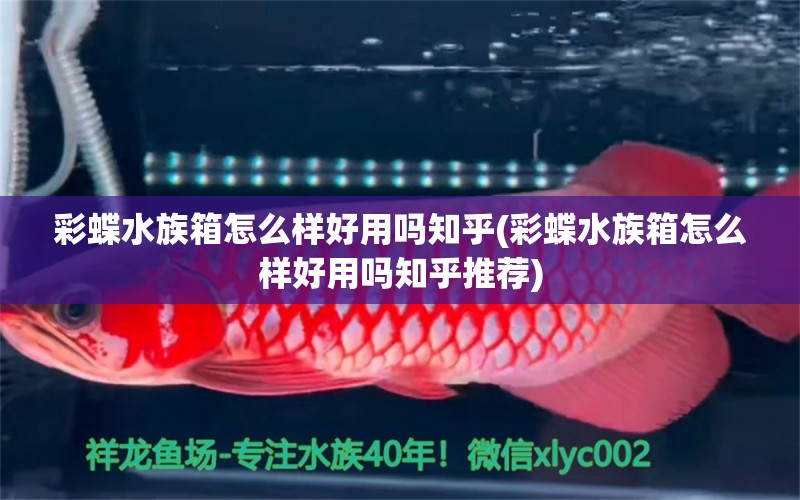 彩蝶水族箱怎么样好用吗知乎(彩蝶水族箱怎么样好用吗知乎推荐)