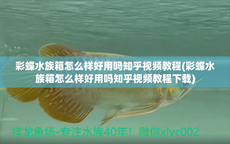 彩蝶水族箱怎么样好用吗知乎视频教程(彩蝶水族箱怎么样好用吗知乎视频教程下载) 鱼缸/水族箱