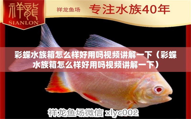 彩蝶水族箱怎么样好用吗视频讲解一下（彩蝶水族箱怎么样好用吗视频讲解一下） 鱼缸/水族箱