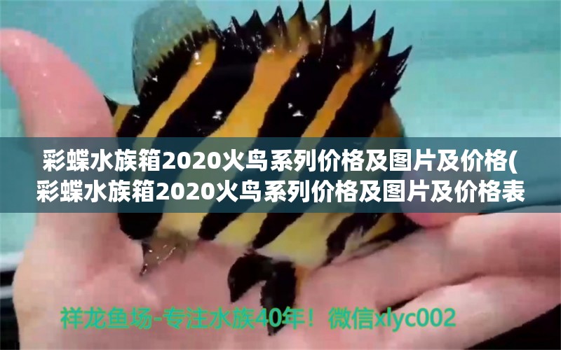 彩蝶水族箱2020火鸟系列价格及图片及价格(彩蝶水族箱2020火鸟系列价格及图片及价格表) 鱼缸/水族箱 第1张