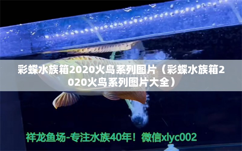 彩蝶水族箱2020火鸟系列图片（彩蝶水族箱2020火鸟系列图片大全）