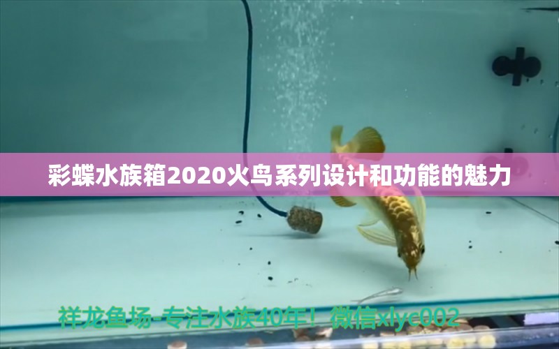 彩蝶水族箱2020火鸟系列设计和功能的魅力 鱼缸/水族箱