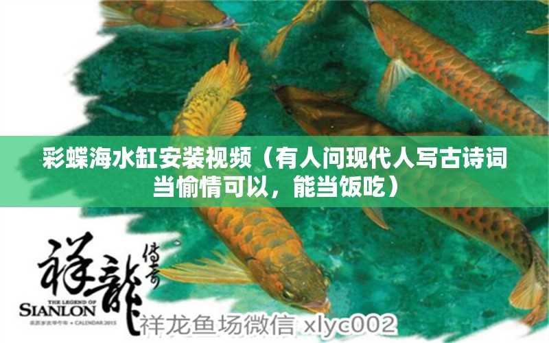 彩蝶海水缸安装视频（有人问现代人写古诗词当愉情可以，能当饭吃）