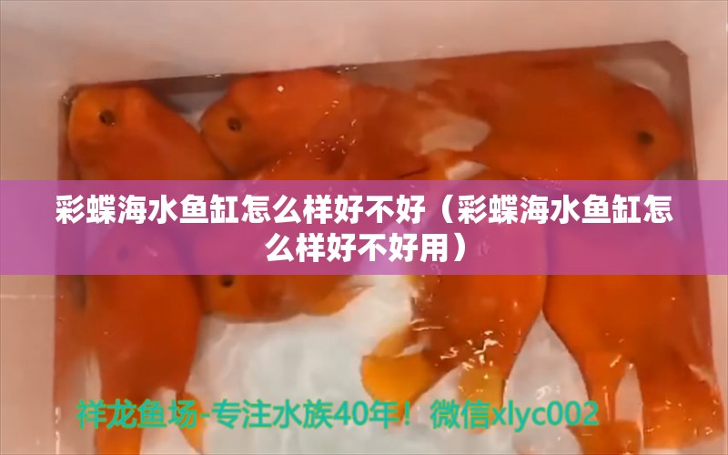 彩蝶海水鱼缸怎么样好不好（彩蝶海水鱼缸怎么样好不好用）