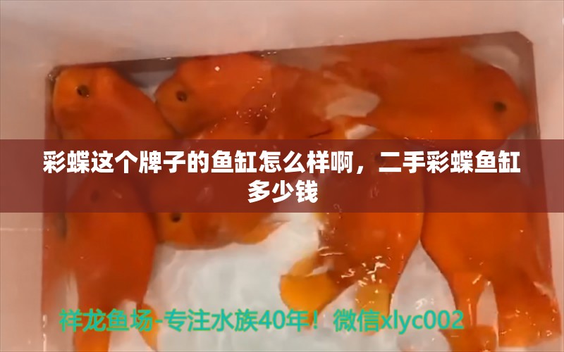 彩蝶这个牌子的鱼缸怎么样啊，二手彩蝶鱼缸多少钱