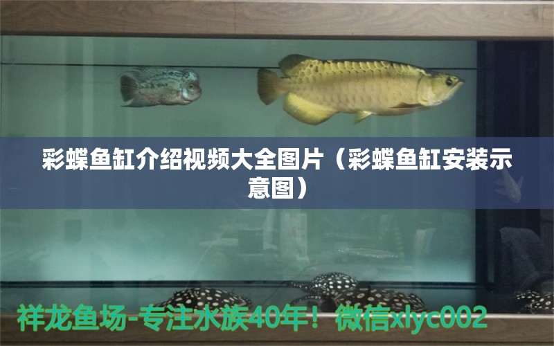 彩蝶鱼缸介绍视频大全图片（彩蝶鱼缸安装示意图）