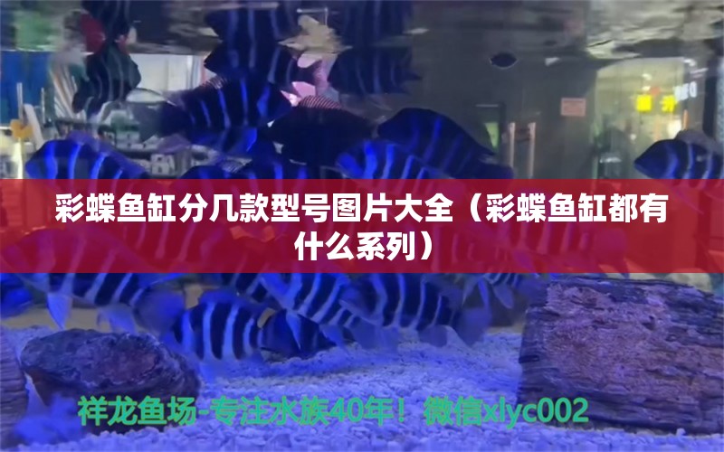 彩蝶鱼缸分几款型号图片大全（彩蝶鱼缸都有什么系列） 黄金斑马鱼