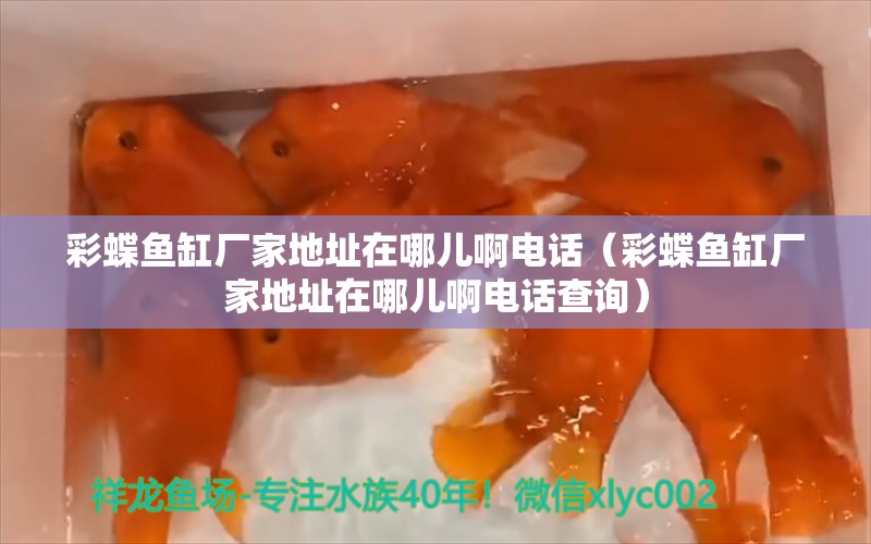 彩蝶鱼缸厂家地址在哪儿啊电话（彩蝶鱼缸厂家地址在哪儿啊电话查询）