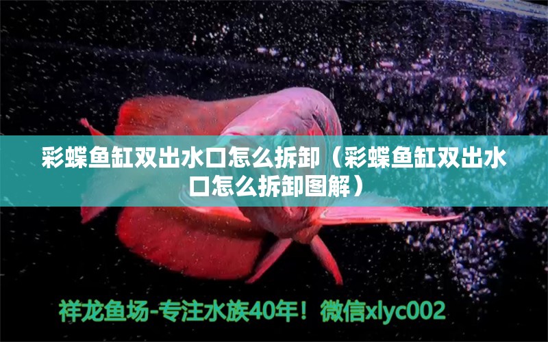 彩蝶鱼缸双出水口怎么拆卸（彩蝶鱼缸双出水口怎么拆卸图解） 其它水族用具设备