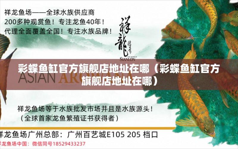 彩蝶鱼缸官方旗舰店地址在哪（彩蝶鱼缸官方旗舰店地址在哪） 祥龙水族医院