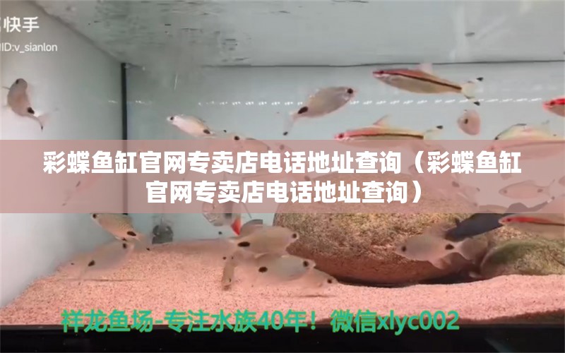 彩蝶鱼缸官网专卖店电话地址查询（彩蝶鱼缸官网专卖店电话地址查询） 观赏鱼水族批发市场