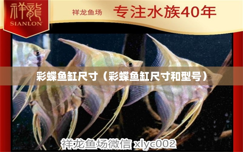 彩蝶鱼缸尺寸（彩蝶鱼缸尺寸和型号） 祥龙水族医院