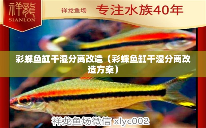 彩蝶鱼缸干湿分离改造（彩蝶鱼缸干湿分离改造方案） 祥龙水族医院