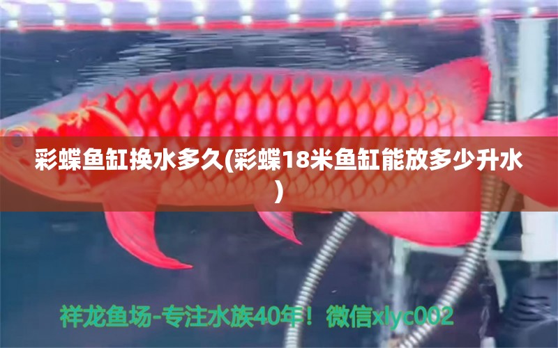 彩蝶鱼缸换水多久(彩蝶18米鱼缸能放多少升水) 鱼缸/水族箱