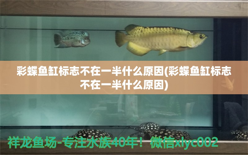 彩蝶鱼缸标志不在一半什么原因(彩蝶鱼缸标志不在一半什么原因)