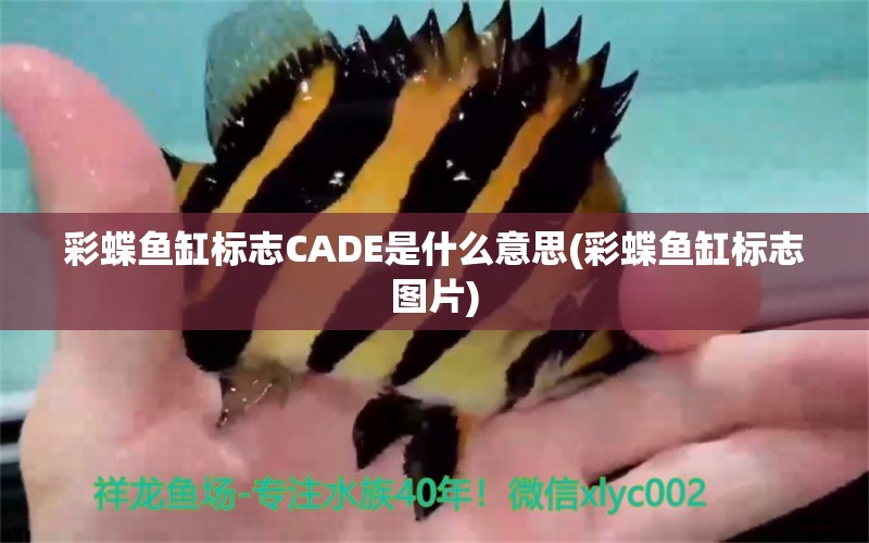 彩蝶鱼缸标志CADE是什么意思(彩蝶鱼缸标志图片)