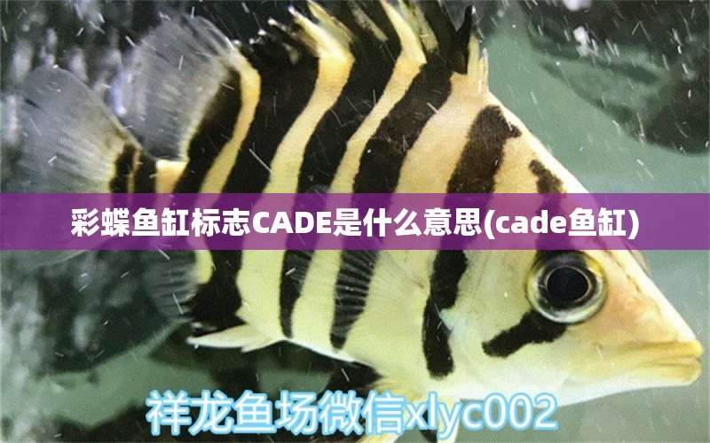 彩蝶鱼缸标志CADE是什么意思(cade鱼缸)