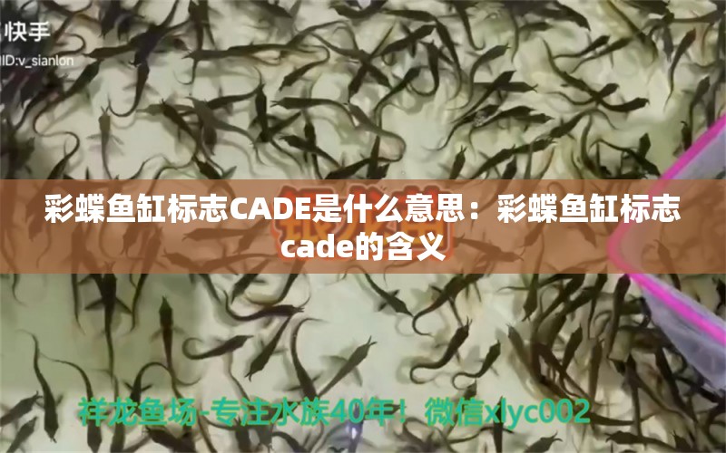 彩蝶鱼缸标志CADE是什么意思：彩蝶鱼缸标志cade的含义